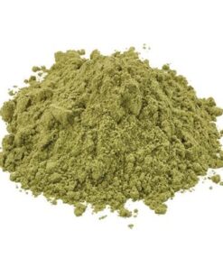 San Pedro Kaktus kaufen